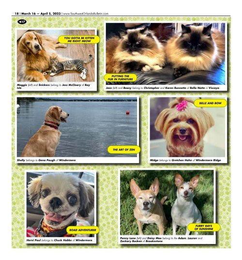 031623_Picture My Pet _DIGITAL EDITION