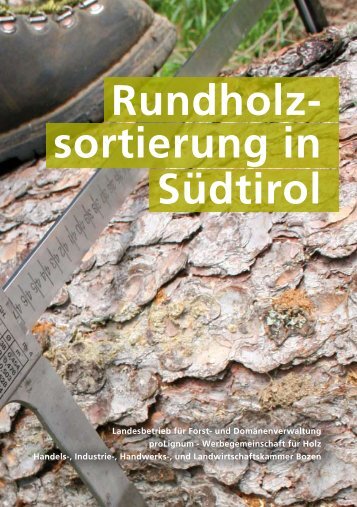 Rundholz- sortierung in Südtirol - Holzportal