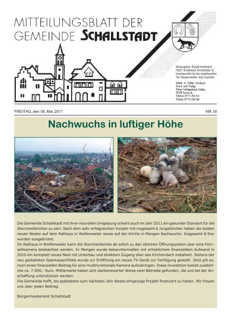 Nachwuchs in luftiger Höhe - Gemeinde.Schallstadt