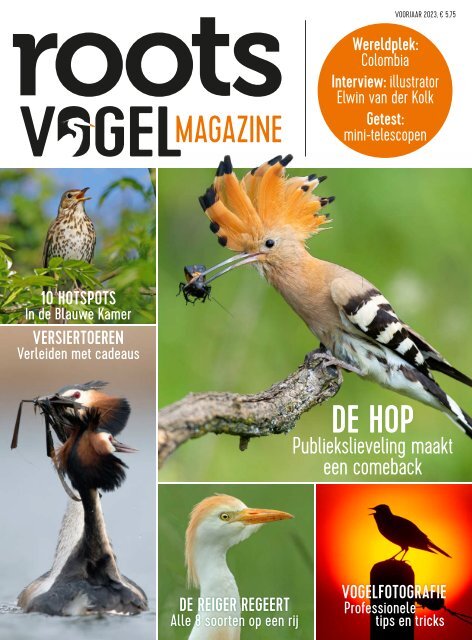 Roots Vogelmagazine 1 - Voorjaar 2023 - Inkijkexemplaar