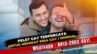 0813-2952-4511 Ilmu Pelet Gay Cara Memikat Hati Pria Normal Tanpa Puasa Yang Ampuh