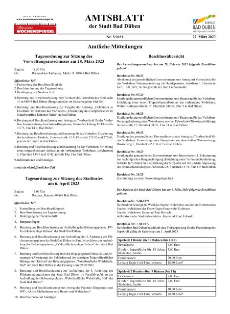 Dübener Wochenspiegel - Ausgabe 5 - Jahrgang 2023