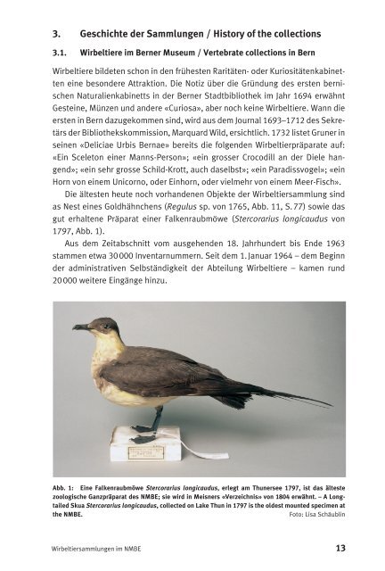 Wirbeltiersammlungen im Natur - Naturhistorisches Museum Bern