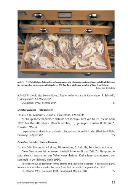 Wirbeltiersammlungen im Natur - Naturhistorisches Museum Bern