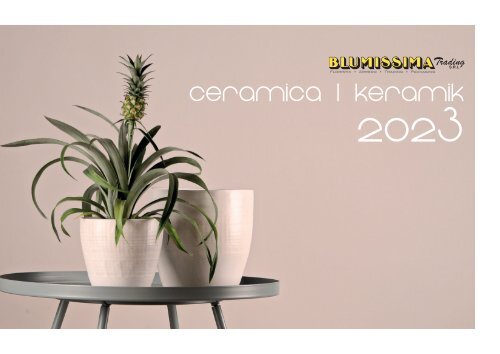Catalogo Ceramica 2023 - Blumissima