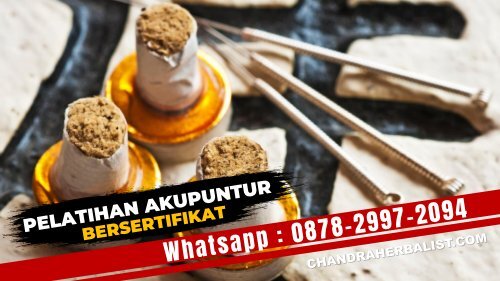 0878-2997-2094 Kursus Akupuntur Di Banjarnegara Bersertifikat Pelatihan Pengobatan Akupuntur Untuk Umum