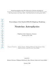 Proc. Neutrino Astrophysics - MPP Theory Group