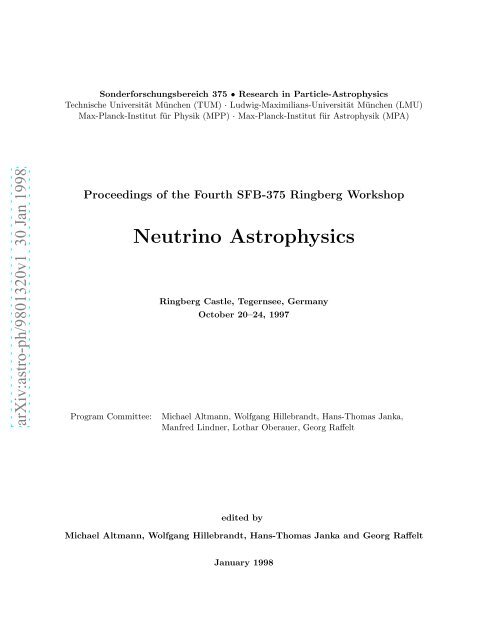 Proc. Neutrino Astrophysics - MPP Theory Group