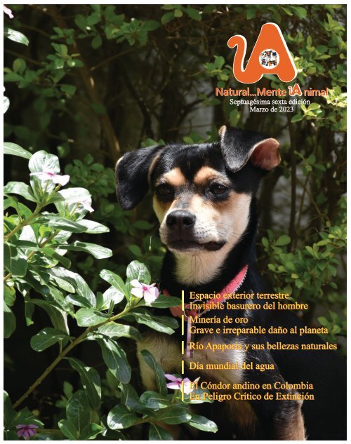 Edición Digital Revista Natural...Mente Animal - Marzo de 2023