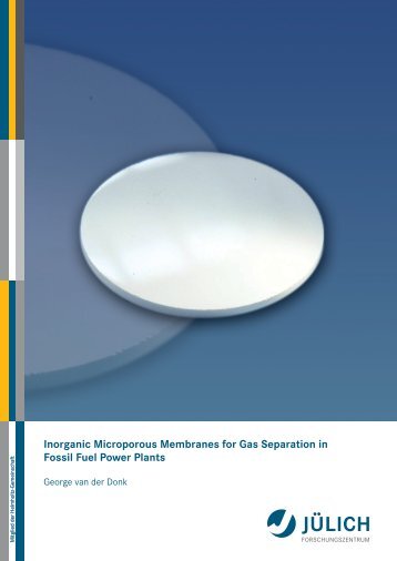 Inorganic Microporous Membranes for Gas Separation in Fossil Fuel ...
