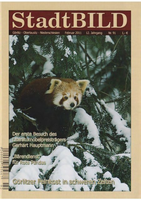 91_Ausgabe Februar 2011