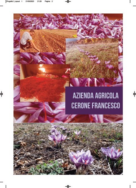 Terme in fiore XI edizione - rivista digitale