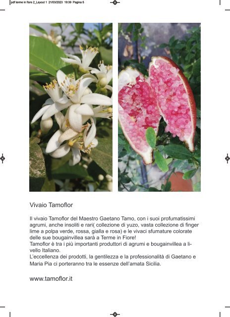 Terme in fiore XI edizione - rivista digitale