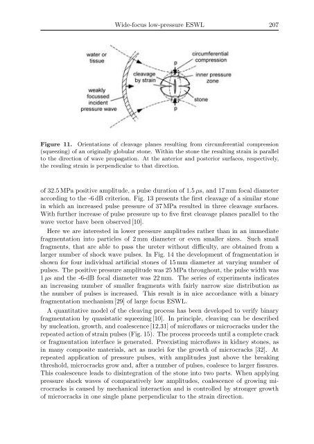 Oscillations, Waves, and Interactions - GWDG