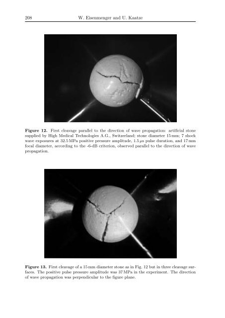 Oscillations, Waves, and Interactions - GWDG