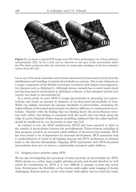 Oscillations, Waves, and Interactions - GWDG