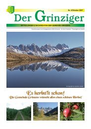 2,97 MB - Gemeinde Grinzens - Land Tirol