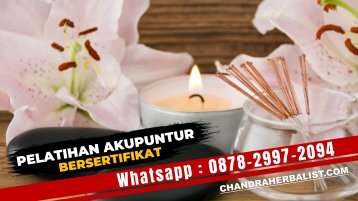 0878-2997-2094 Kursus Akupuntur Bersertifikat Di Cilacap - Pelatihan Pengobatan Terapi Akupunktur Biaya Murah