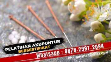 0878-2997-2094 Kursus Akupuntur Bersertifikat Di Purwokerto Pelatihan Terapi Pengobatan Akupunktur