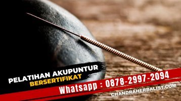 0878-2997-2094 Pelatihan Akupuktur Bersertifikat Di Wonosobo Kursus Terapi Pengobatan Akupuntur Biaya Murah