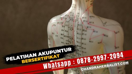 0878-2997-2094 Pelatihan Akupuntur Bersertifikat Di Purbalingga Kursus Pengobatan Terapi Akupunktur