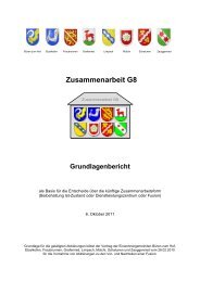 Grundlagenbericht - Projekt Zusammenarbeit G8