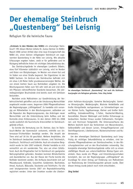 Download als PDF - NABU Sachsen