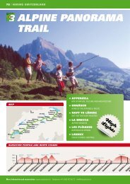 ALPINE PANORAMA TRAIL - Swiss Trails