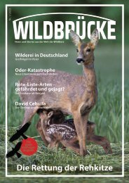 Wildbrücke Magazin - Wilde Tiere schützen Ausgabe 01/2023