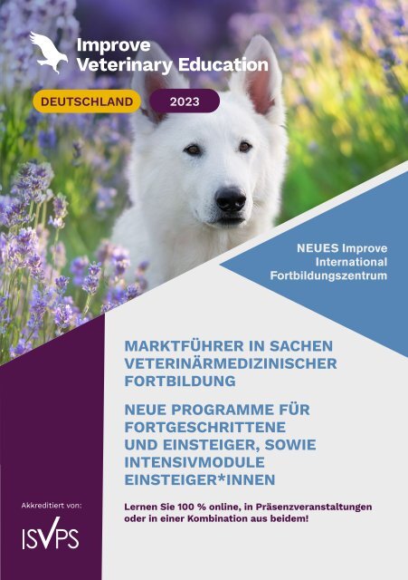 IVE_DE_Brochure_Mar2023