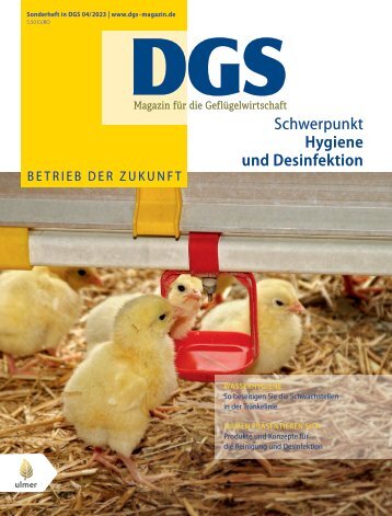 DGS Sonderheft Hygiene und Desinfektion (04/2023)