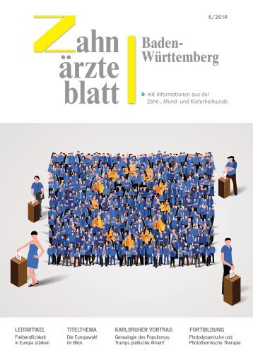 Die Europawahl im Blick