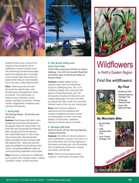 Wildflower Holiday Guide - Western Australia