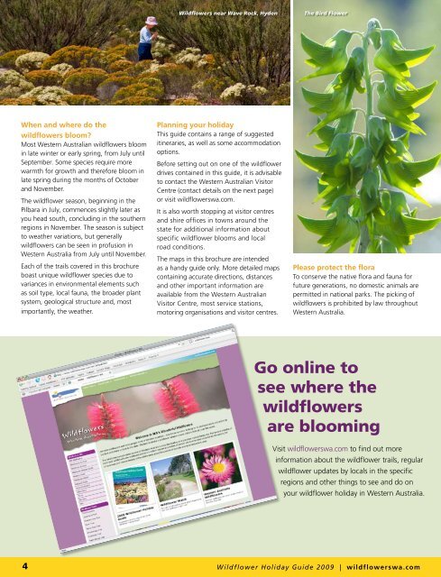 Wildflower Holiday Guide - Western Australia