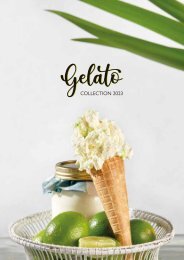 Gelato and ice cream product guide 2023