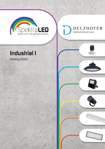 Delzhofer Industrieservice - SpektraLED  -Industrial I