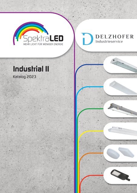 Delzhofer Industrieservice - SpektraLED - Industrial II