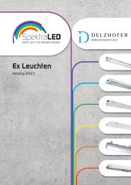 Delzhofer Industrieservice - SpektraLED - SUPIRA EX-EXTREMA