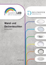 Delzhofer Industrieservice - SpektraLED - Wand- und Deckenleuchte