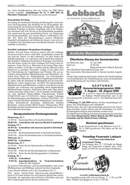 Amtsblatt vom 17.07.09 - Meckesheim