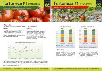 Pomidor czerwony Fortuneza