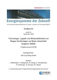 Endbericht Technologie, Logistik und Wirtschaftlichkeit von Biogas ...