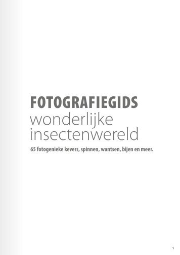 Insectenwereld inkijkexemplaar
