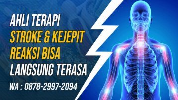 0878-2997-2094 Ahli Terapi Pengobatan Stroke Di Adipala, Tempat, Alamat, Jasa