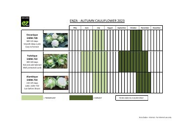 Cropping Calendar Autumn Cauliflower 2023