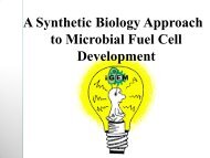 A Synthetic Biology Approach to Microbial Fuel Cell ... - iGEM