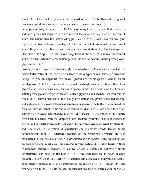 Mechanical strain regulation of the Chicken glypican-4 gene ...