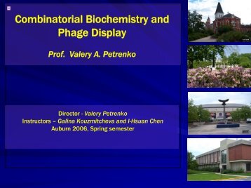 6. Phage Display: Vectors and Libraries