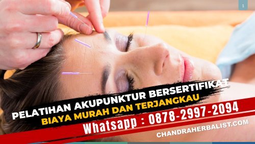 (Wa:0878-2997-2094) Pelatihan Akupunktur Bersertifikat Untuk Umum Biaya Murah Terdekat Di Jakarta