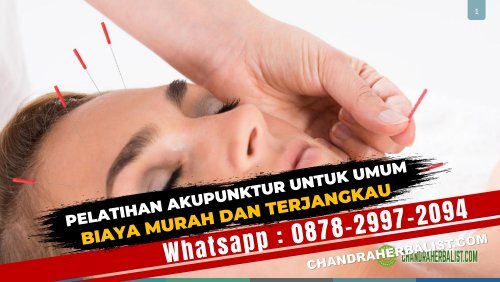 (Wa:0878-2997-2094) Pelatihan Akupunktur Untuk Umum, Dokter, Medik, Perawat, UI, RSCM, Bersetifikat Biaya Murah